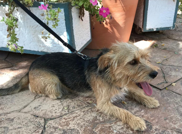 multimedia-foto55227-613-1