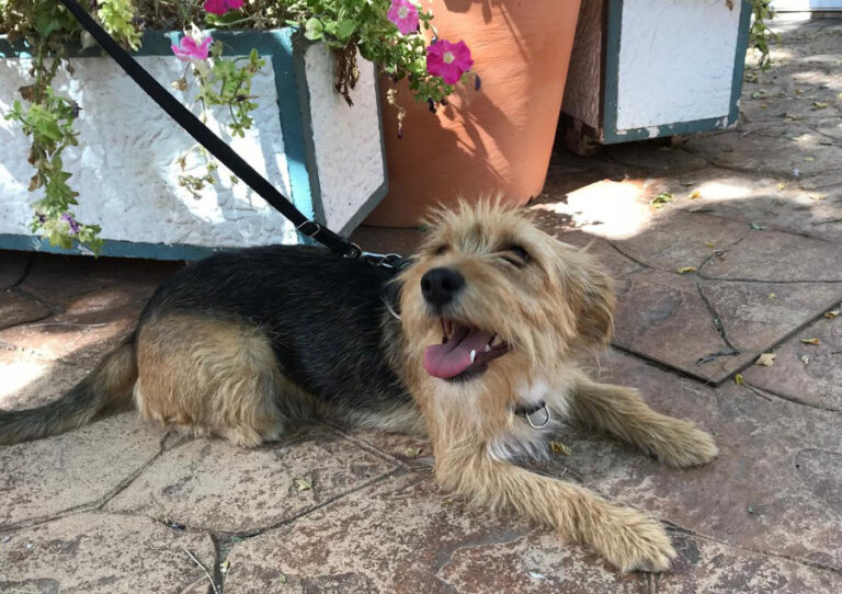 multimedia-foto55228-613-1