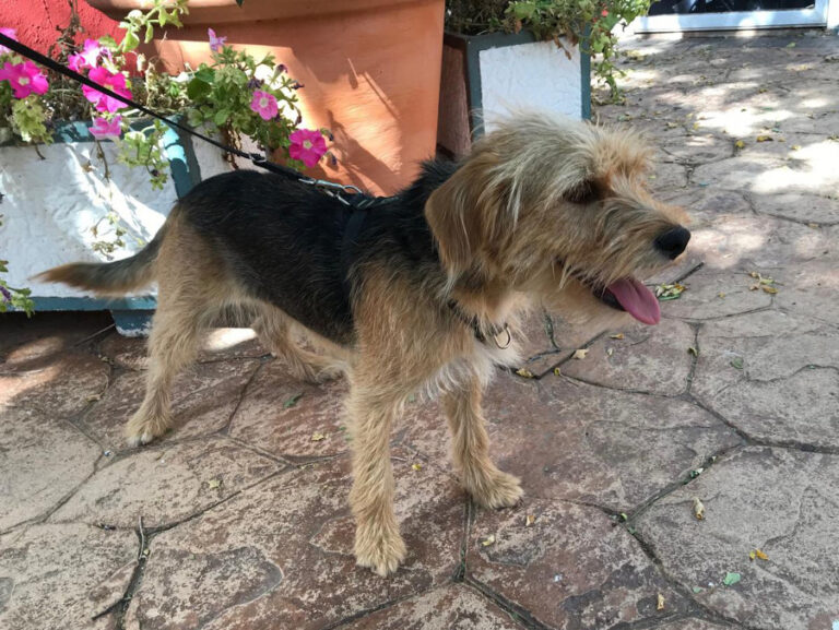 multimedia-foto55229-613-1