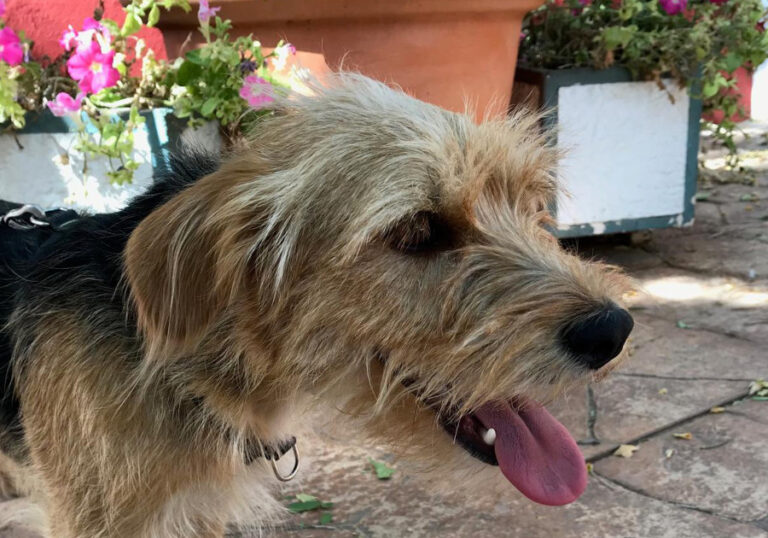 multimedia-foto55230-613-1