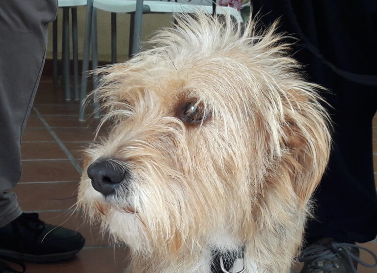 multimedia-foto55231-613-1