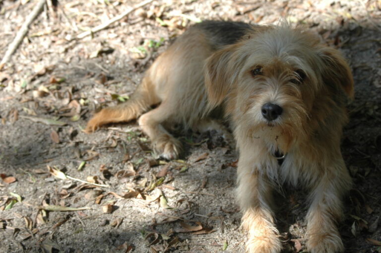 multimedia-foto55234-614-1