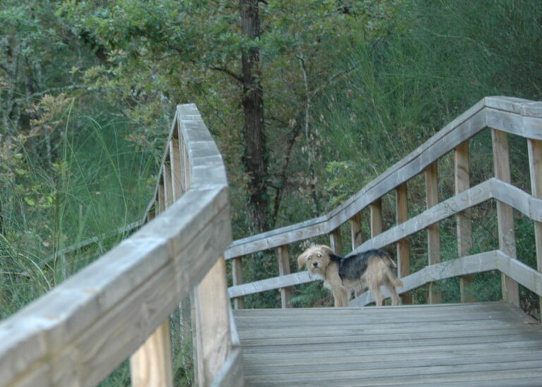 multimedia-foto55236-614-1