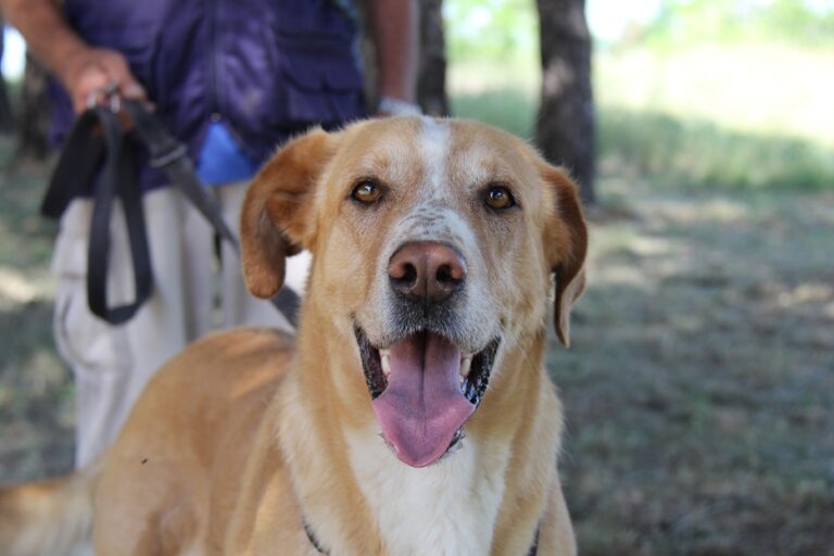 multimedia-foto55237-395-1