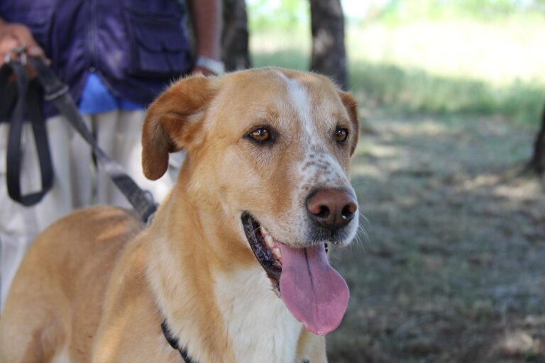 multimedia-foto55238-395-1