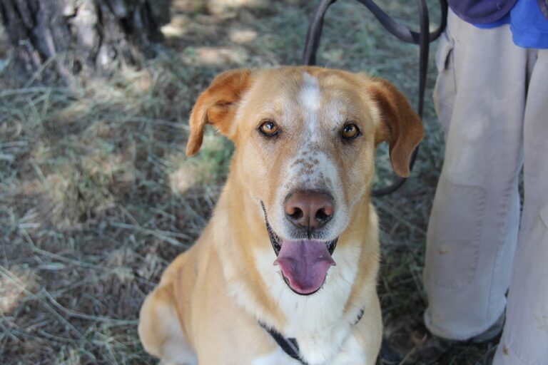 multimedia-foto55239-396-1