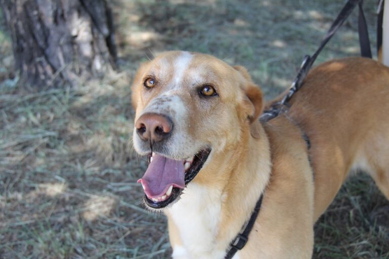 multimedia-foto55240-396-1