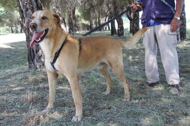 multimedia-foto55241-396-1