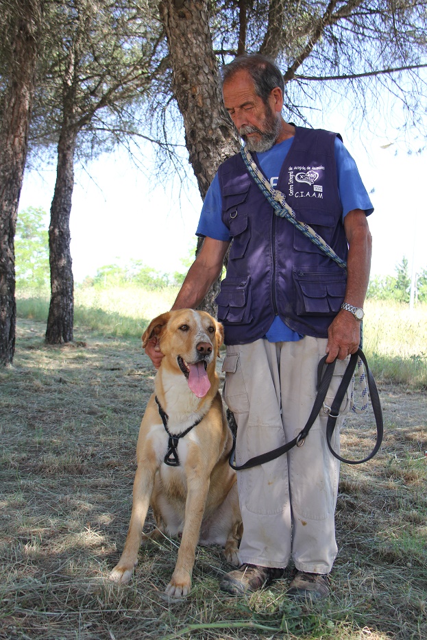 multimedia-foto55242-396-1