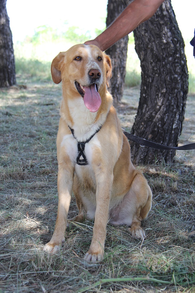 multimedia-foto55243-396-1