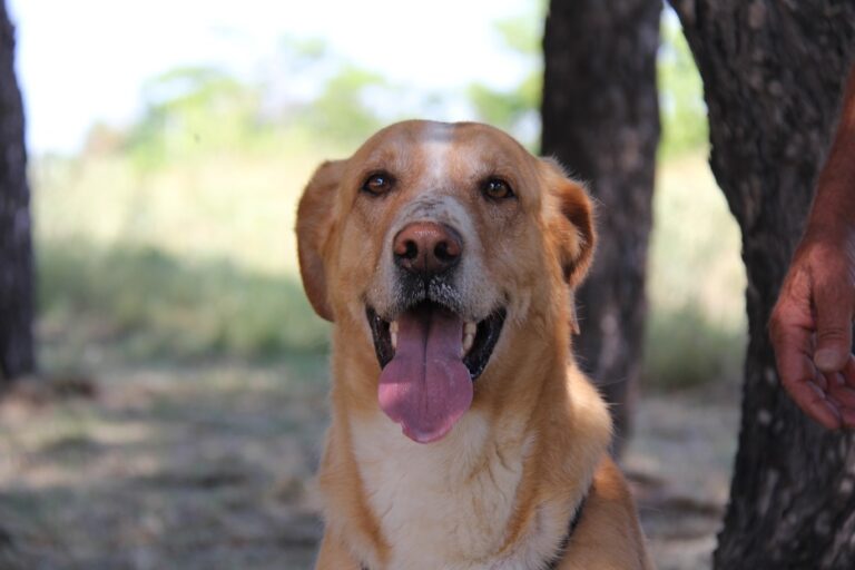 multimedia-foto55244-397-1