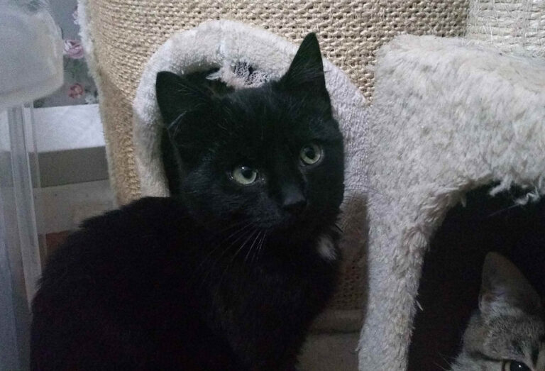 multimedia-foto55275-101-1