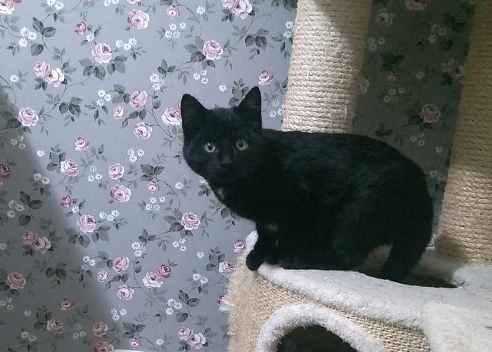 multimedia-foto55276-101-1