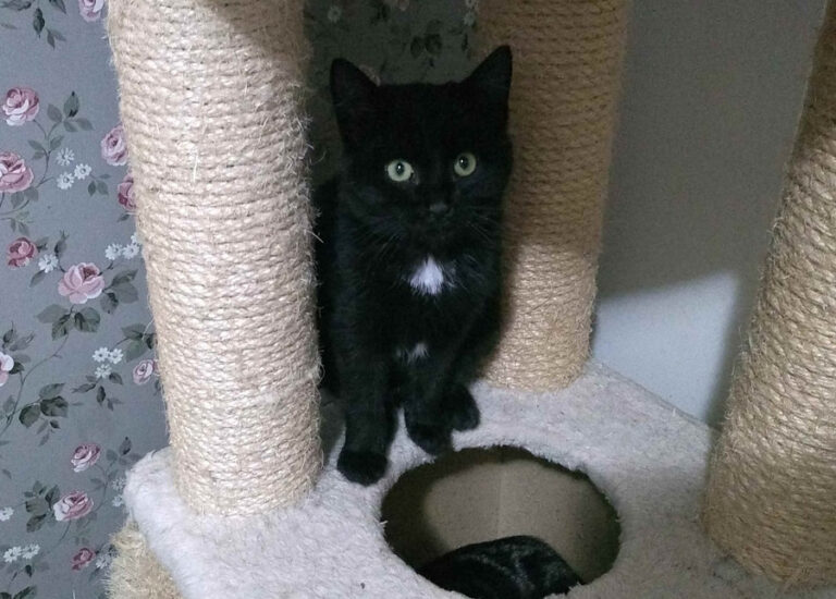 multimedia-foto55277-101-1