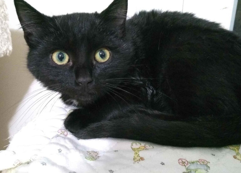 multimedia-foto55278-101-1