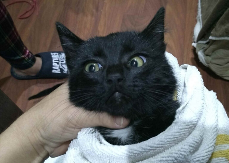 multimedia-foto55279-102-1