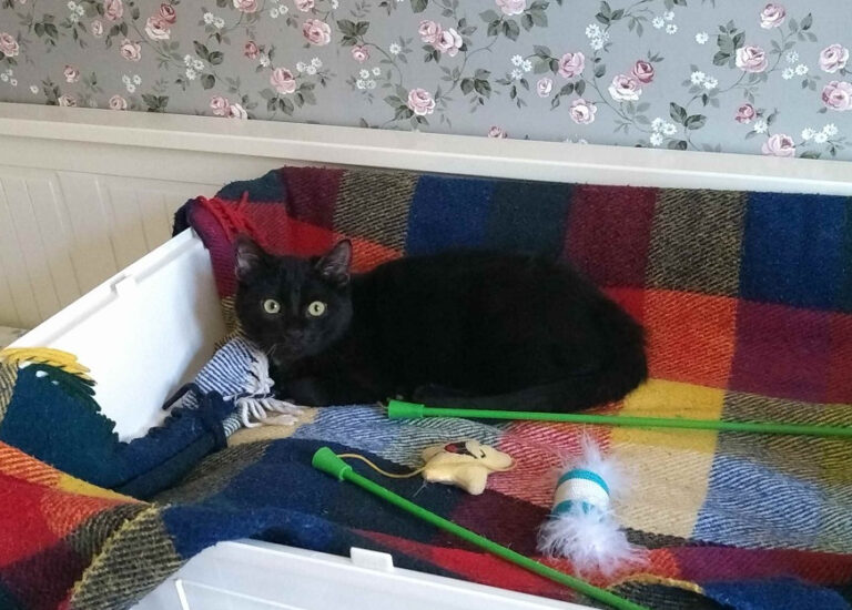 multimedia-foto55281-102-1