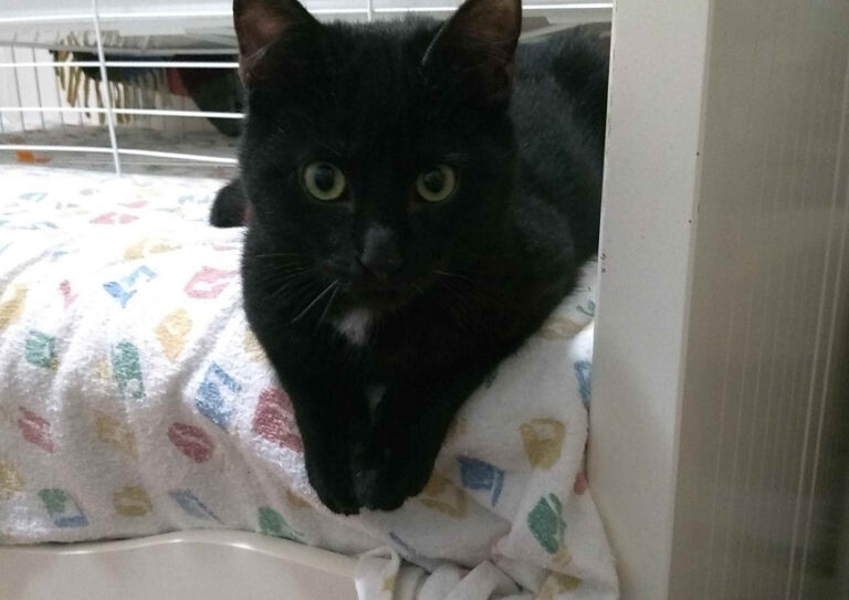 multimedia-foto55282-102-1