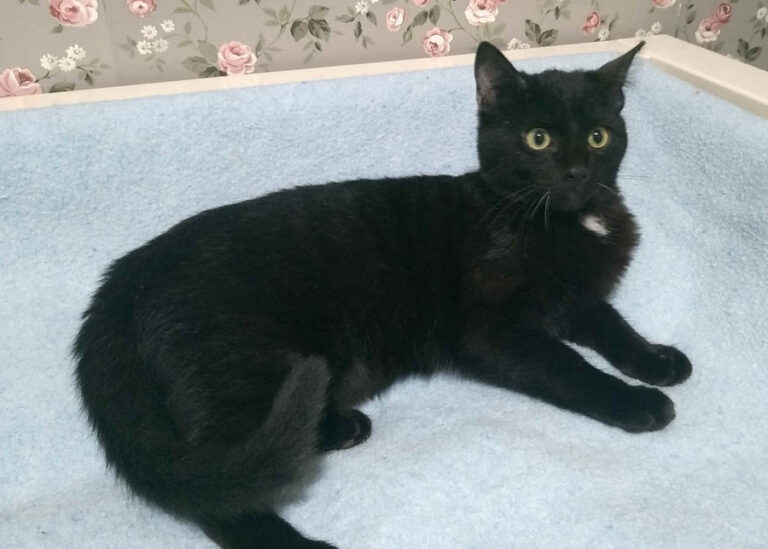 multimedia-foto55283-102-1