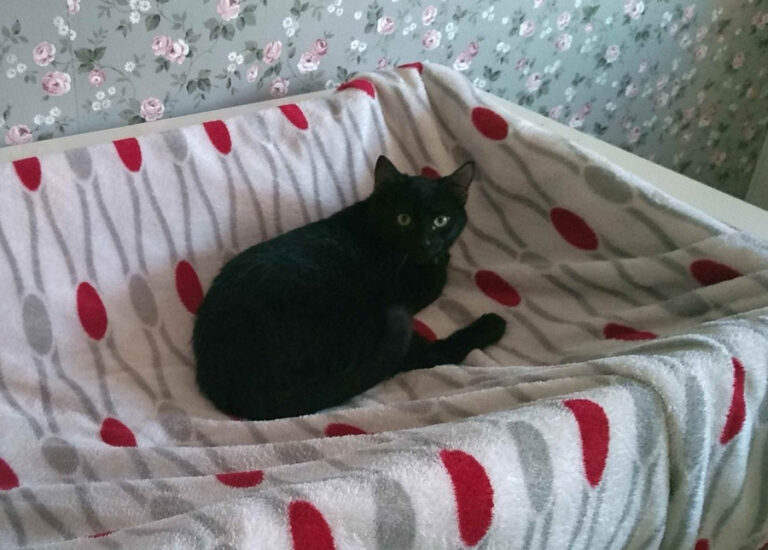 multimedia-foto55284-103-1