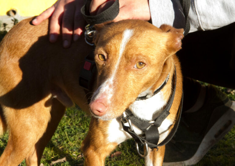 multimedia-foto55299-868-1