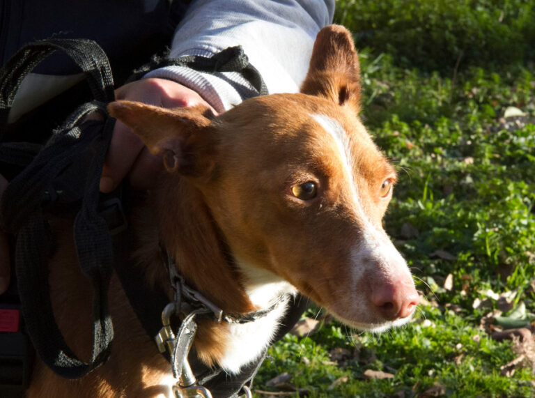 multimedia-foto55300-868-1