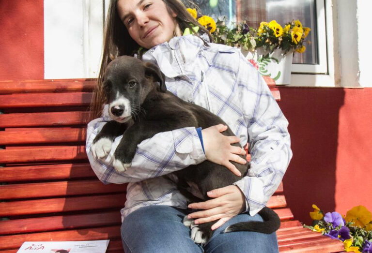 multimedia-foto55313-359-1