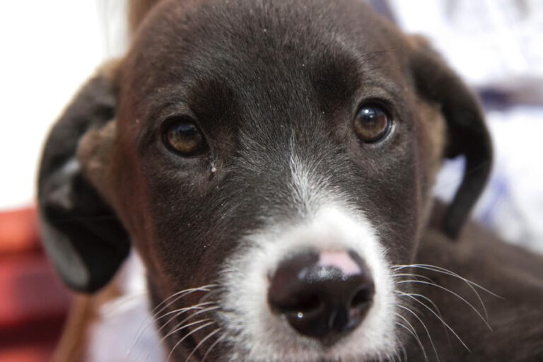 multimedia-foto55314-359-1