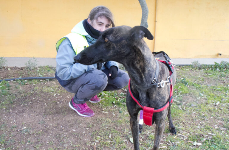 multimedia-foto55341-930-1