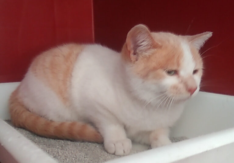 multimedia-foto55346-659-1