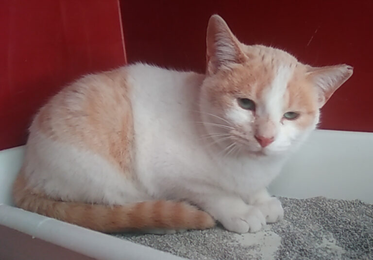 multimedia-foto55347-659-1