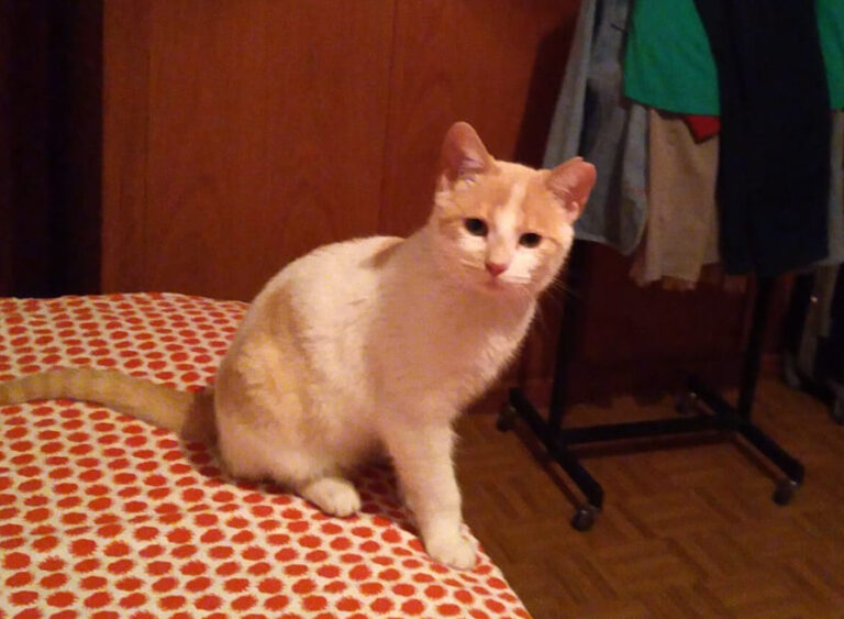 multimedia-foto55348-659-1