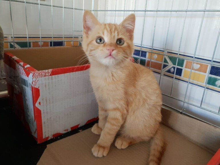 multimedia-foto55365-314-1