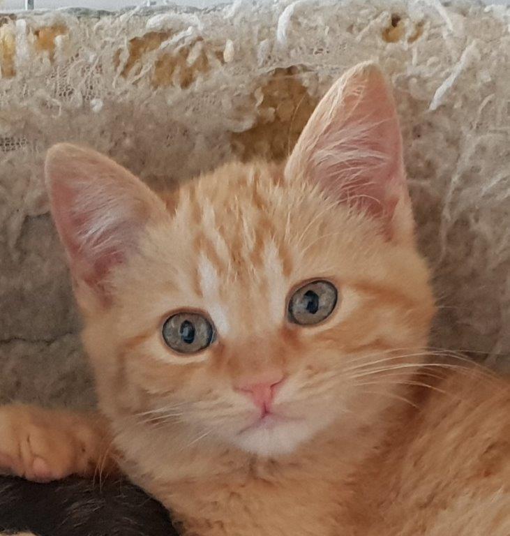 multimedia-foto55366-314-1