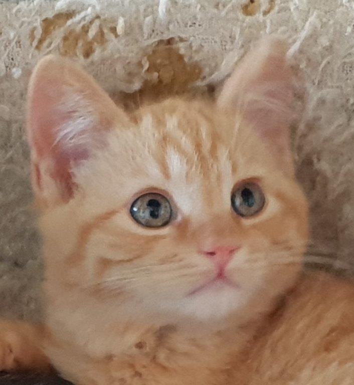 multimedia-foto55367-315-1