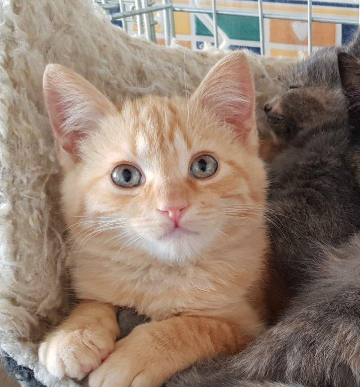 multimedia-foto55368-315-1