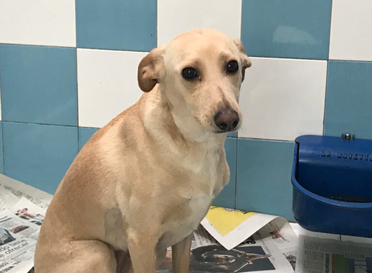 multimedia-foto55376-921-1