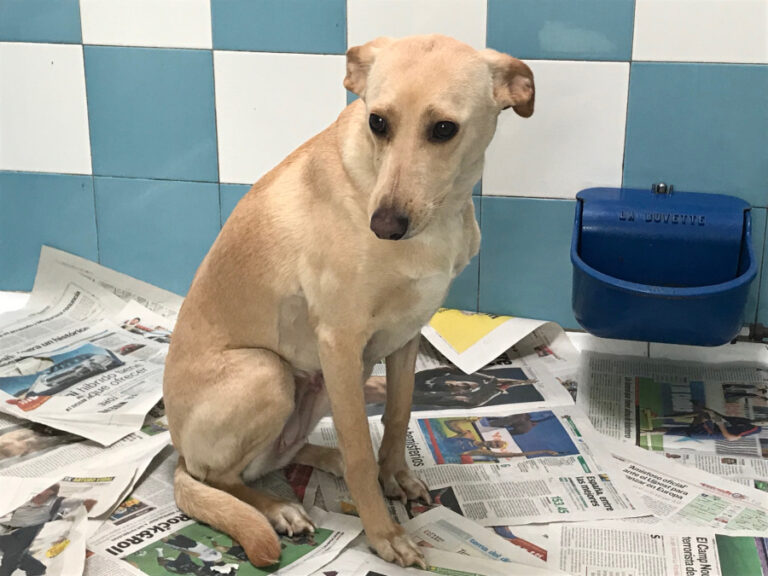 multimedia-foto55377-922-1