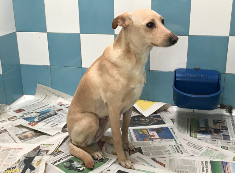 multimedia-foto55378-922-1