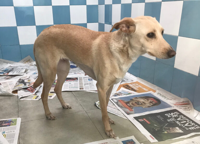 multimedia-foto55379-922-1