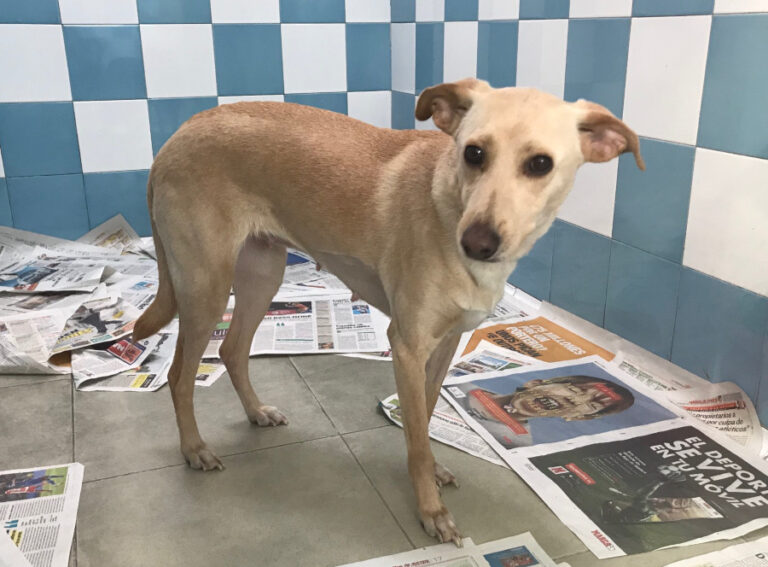 multimedia-foto55380-922-1