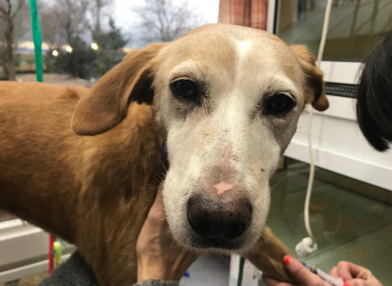 multimedia-foto55383-127-1