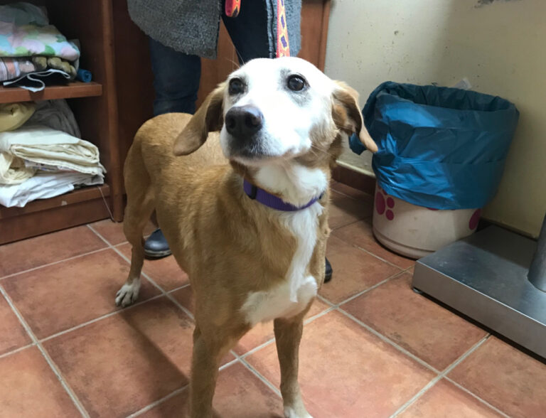 multimedia-foto55384-127-1