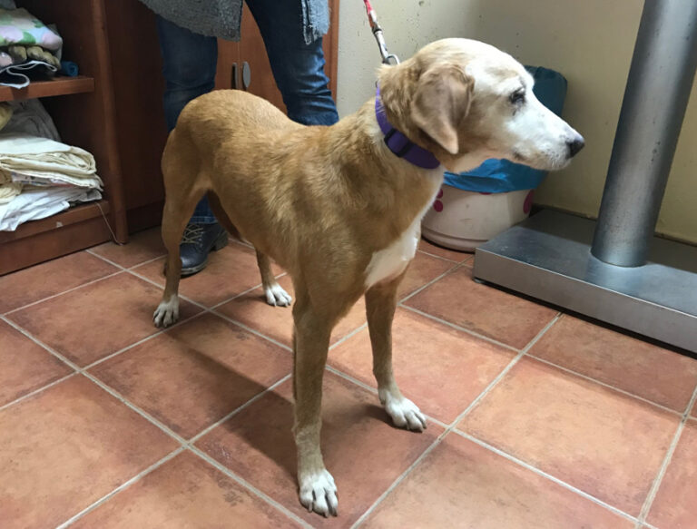 multimedia-foto55385-127-1