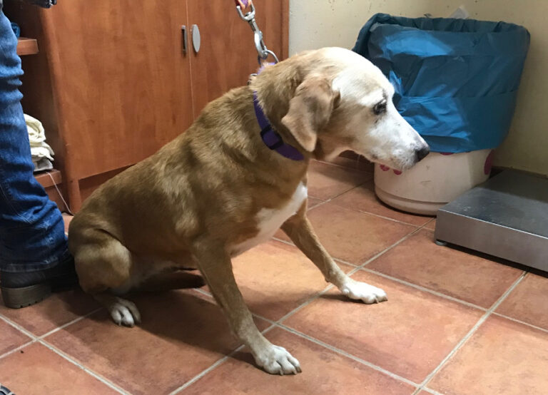 multimedia-foto55386-127-1