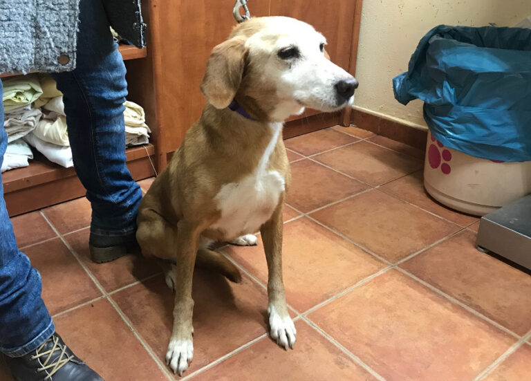 multimedia-foto55387-128-1