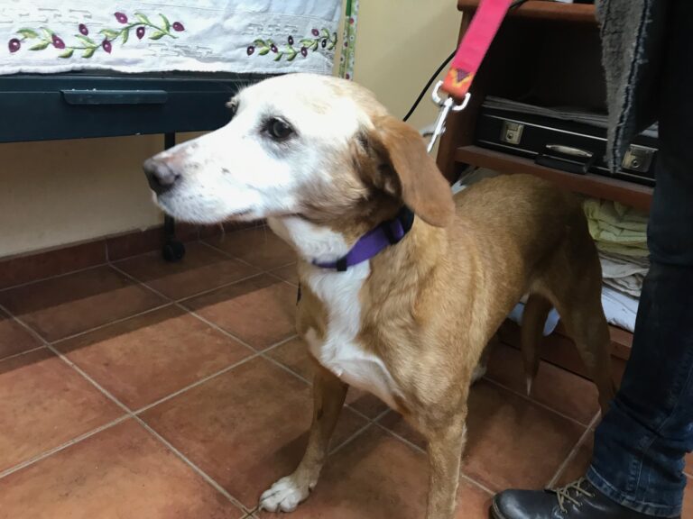 multimedia-foto55388-128-1