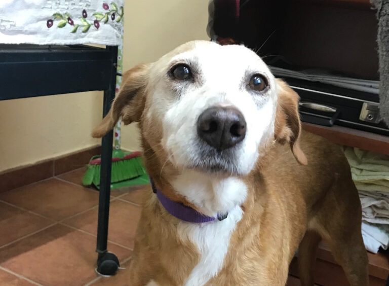 multimedia-foto55389-128-1