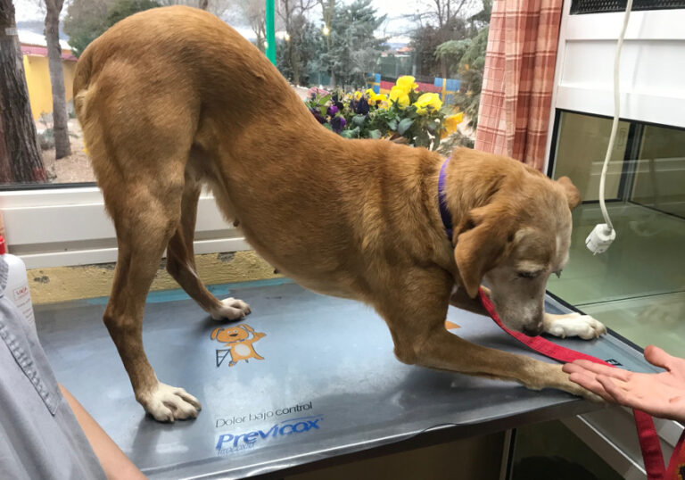 multimedia-foto55392-129-1