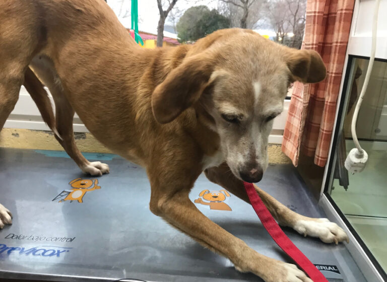 multimedia-foto55393-129-1